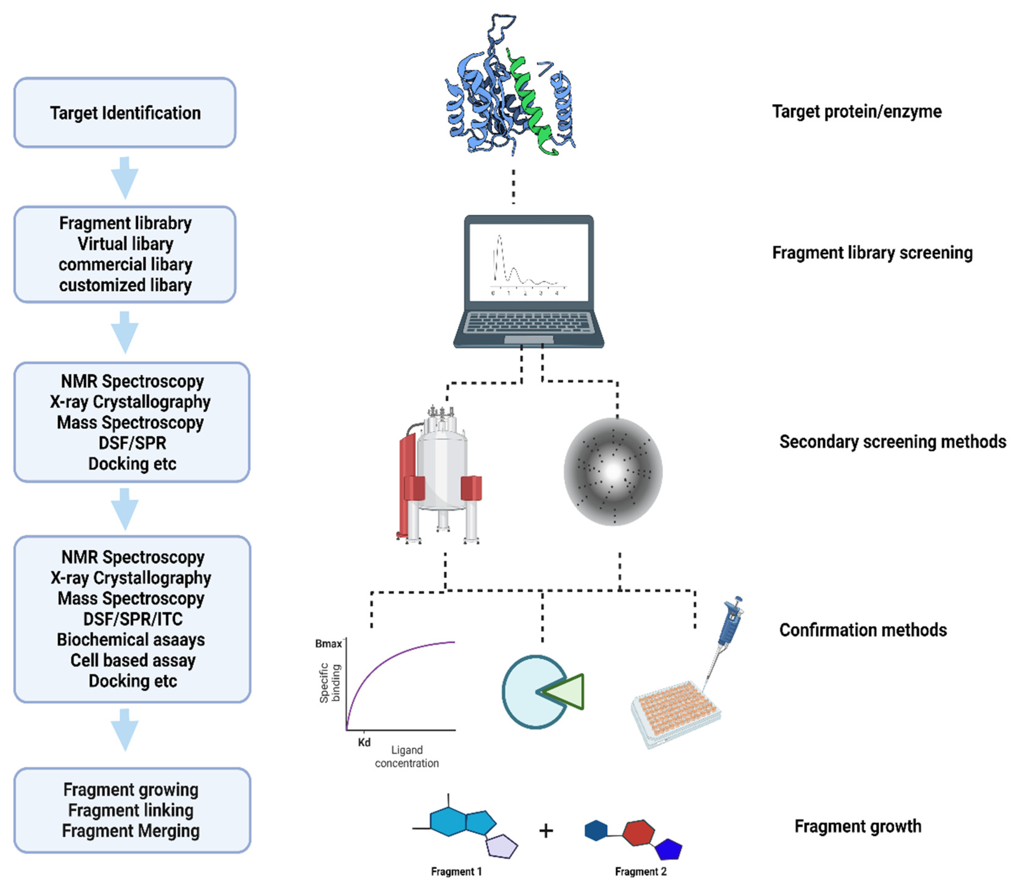 Figure 1, International Journal of Molecular Sciences 2022